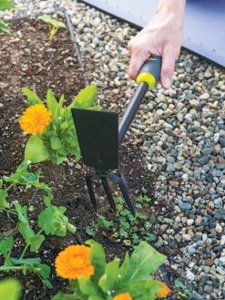 Gardener's 2-in-1 Short Handle Hoe And Cultivator -Gardening Supplies Store 8608657 19474 tif