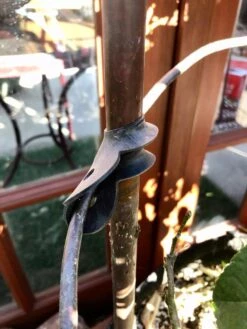 Garden Cane Connects, Set Of 6 -Gardening Supplies Store 8609019 03V tif