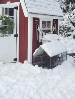 Chicken Wire Crop Coop -Gardening Supplies Store 8609080 03IN tif