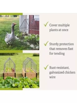 Chicken Wire Crop Coop -Gardening Supplies Store 8609080 2