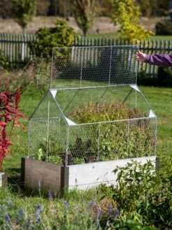 Chicken Wire Crop Coop -Gardening Supplies Store 8609080 4024