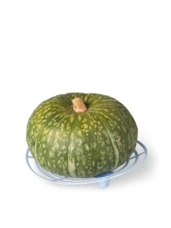 Melon And Squash Cradles, Set Of 6 -Gardening Supplies Store 8609464 5204 tif