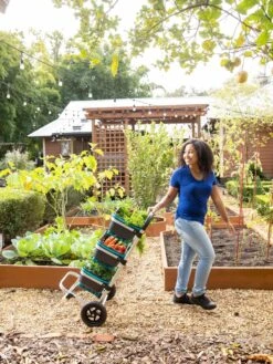 Mod Hod Trolley With Teal Mod Hods -Gardening Supplies Store 8610240 0070 tif