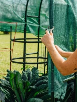 Maxi Garden Hoops With Clips -Gardening Supplies Store 8610372 368 tif