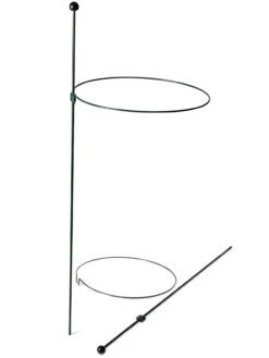 Peacock Classic Plant Support Rings 15", Set Of 2 -Gardening Supplies Store 8610384 9562 tif