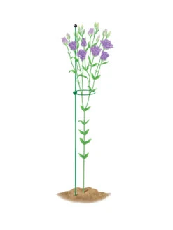 Peacock Mini Plant Support Rings 4", Set Of 2 -Gardening Supplies Store 8610386 peacock4x36