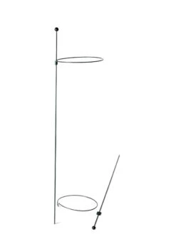 Peacock Mini Plant Support Rings 8", Set Of 2 -Gardening Supplies Store 8610388 9565 tif