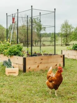 Tall Chicken Wire Critter Fence With Gate -Gardening Supplies Store 8611020 316 tif