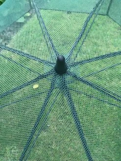 GardenSkill Pop N Crop Plant Umbrella -Gardening Supplies Store 8611105 07V tif