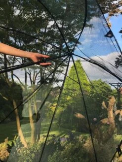 GardenSkill Pop N Crop Plant Umbrella -Gardening Supplies Store 8611105 09V tif