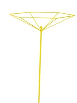 Parasol Plant Supports, Set Of 3 -Gardening Supplies Store 8611129 3844 tif