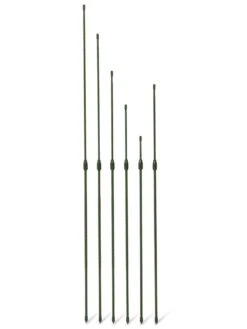 Titan Extendable Stakes, Set Of 6 -Gardening Supplies Store 8611667 3070 tif