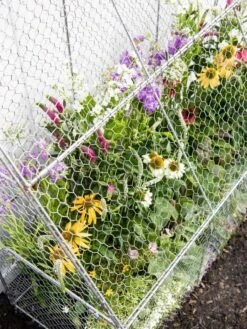 Chicken Wire Flat Back Crop Coop -Gardening Supplies Store 8611701 153 tif
