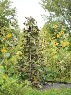 DIY Connector For Teepee Trellis -Gardening Supplies Store 8611896 062 tif