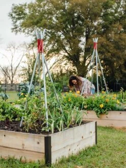 DIY Connector For Teepee Trellis -Gardening Supplies Store 8611896 38 tif