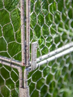 Chicken Wire Crop Coop Extension -Gardening Supplies Store 8611940 232 tif