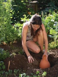 Hydro Max Watering System -Gardening Supplies Store 8611967 15V tif