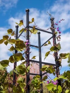 Essex Square Obelisk -Gardening Supplies Store 8611984 354 tif
