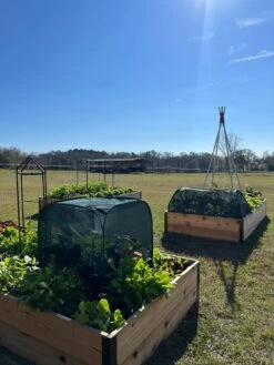 Pest Control Pop-Ups -Gardening Supplies Store 8611989 05 tif