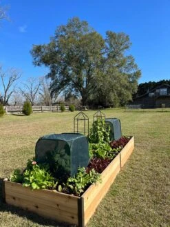 Pest Control Pop-Ups -Gardening Supplies Store 8611989 08 tif