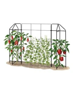 Zenith Trellis -Gardening Supplies Store 8612035 art tif