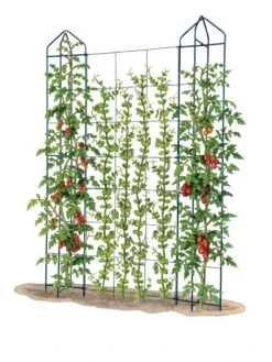 Zenith Trellis -Gardening Supplies Store 8612036 art tif