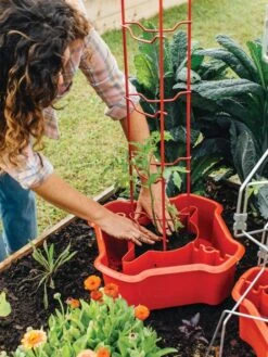 Deluxe Tomato Halos, Set Of 2 -Gardening Supplies Store 8612045 135 tif