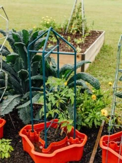 Deluxe Tomato Halos, Set Of 2 -Gardening Supplies Store 8612045 221 tif