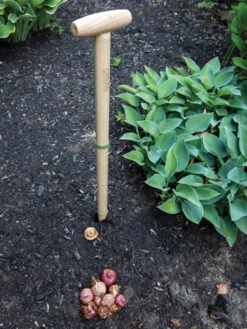 Wicked Big Dibber -Gardening Supplies Store 8612667 0028