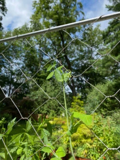 Chicken Wire Pea Trellis -Gardening Supplies Store 8612718 7311