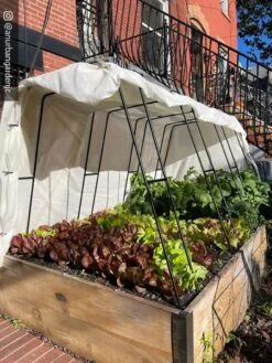 Zenith Garden Hoops, Set Of 4 -Gardening Supplies Store 8612816 01CUST 1