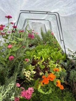 All-Purpose Garden Fabric -Gardening Supplies Store 8612816 01TEST