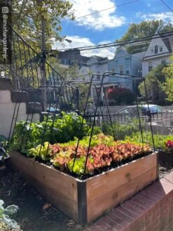 Zenith Garden Hoops, Set Of 4 -Gardening Supplies Store 8612816 02CUST