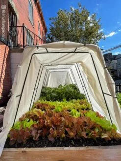 Cotton All Purpose Garden Cover -Gardening Supplies Store 8612816 03CUST