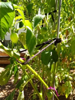 Farmyarn® Multipurpose Garden Tie, 2 Pack -Gardening Supplies Store 8612948 02v