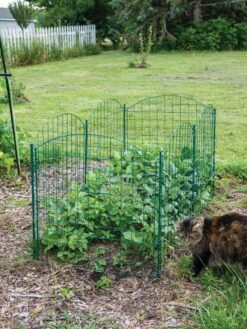 6 Panel Critter Fence With Gate -Gardening Supplies Store 8612967 2570 tif