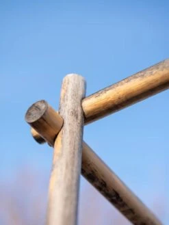 Bamboo Tomato Cages, Set Of 3 -Gardening Supplies Store 8613143 0385