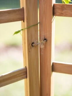 Bamboo Zig-Zag Trellis 24" X 36" -Gardening Supplies Store 8613151 6483