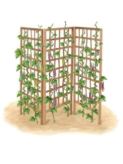 Bamboo Zig-Zag Trellis 24" X 36" -Gardening Supplies Store 8613151 art flat