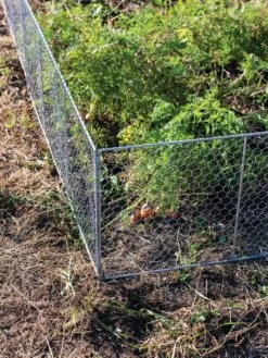 Chicken Wire Critter Fence, 16" High -Gardening Supplies Store 8613249 0358