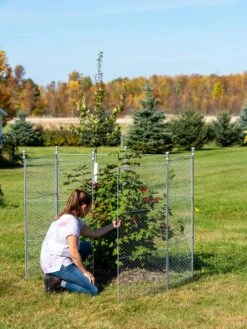 Tall Chicken Wire Critter Fence Extension Panel, Set Of 2 -Gardening Supplies Store 8613260 0044 1