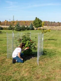 Tall Chicken Wire Critter Fence Extension Panel, Set Of 2 -Gardening Supplies Store 8613260 0090