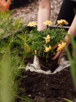 Hortiwool ®, 5 Pad Pack -Gardening Supplies Store 8613263 12v