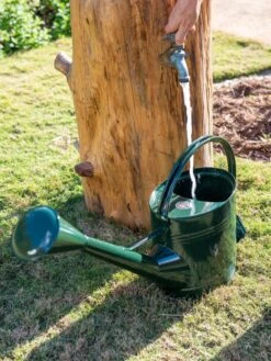 Long Reach Watering Can, Large -Gardening Supplies Store 8613346 0147