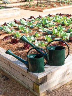 Long Reach Watering Can, Large -Gardening Supplies Store 8613346 0148 1