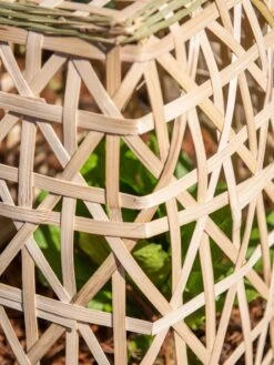 Bamboo Cloche, Set Of 2 -Gardening Supplies Store 8613351 0153