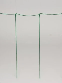 Curved Linking Stakes -Gardening Supplies Store GS35241 04S tif