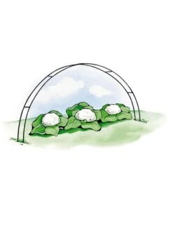Super Hoops, Set Of 6 -Gardening Supplies Store GS39423 02S 3 4