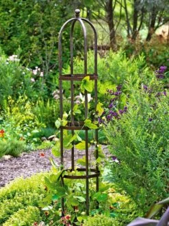 Jardin Bird Cage Support, 26" -Gardening Supplies Store GS39529 01 tif