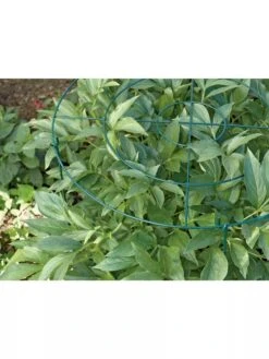 Grow Through Supports, Set Of 3 -Gardening Supplies Store GS40172 01 1